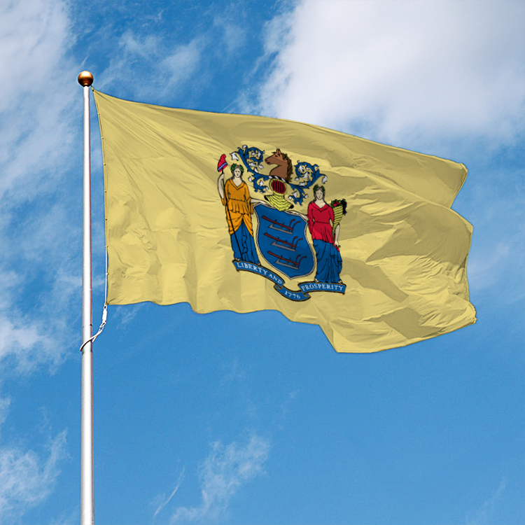 New Jersey State Flag